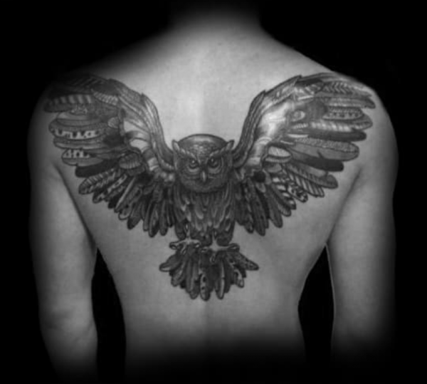 Burung hantu dengan bulu yang rinci